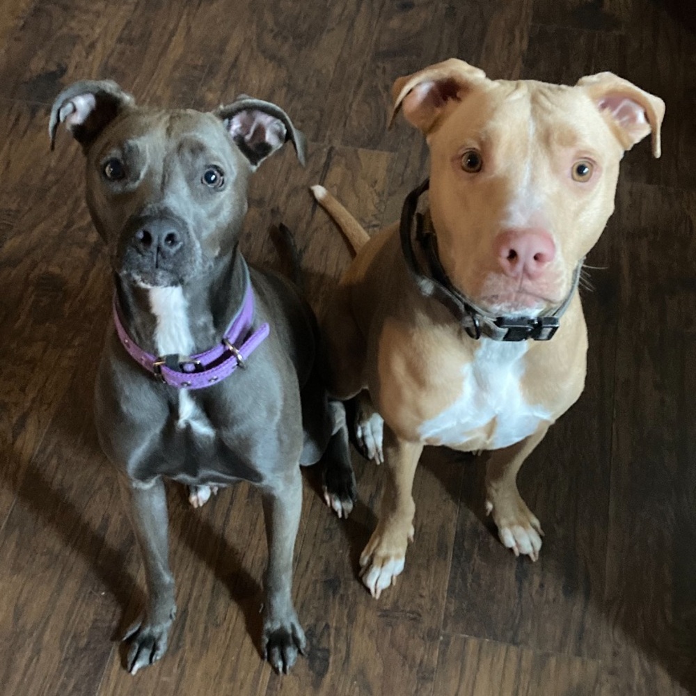 Meet your Posher(s) Ray & Rae